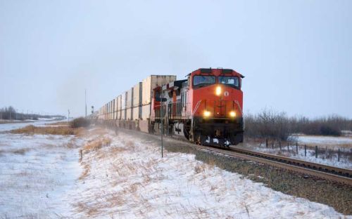 An Update on NARVRE Activities in February 2023