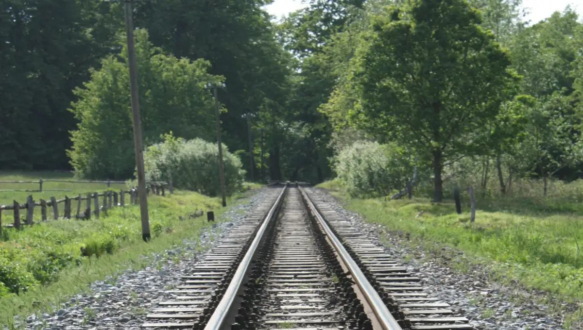 Railroad going through the farmland.